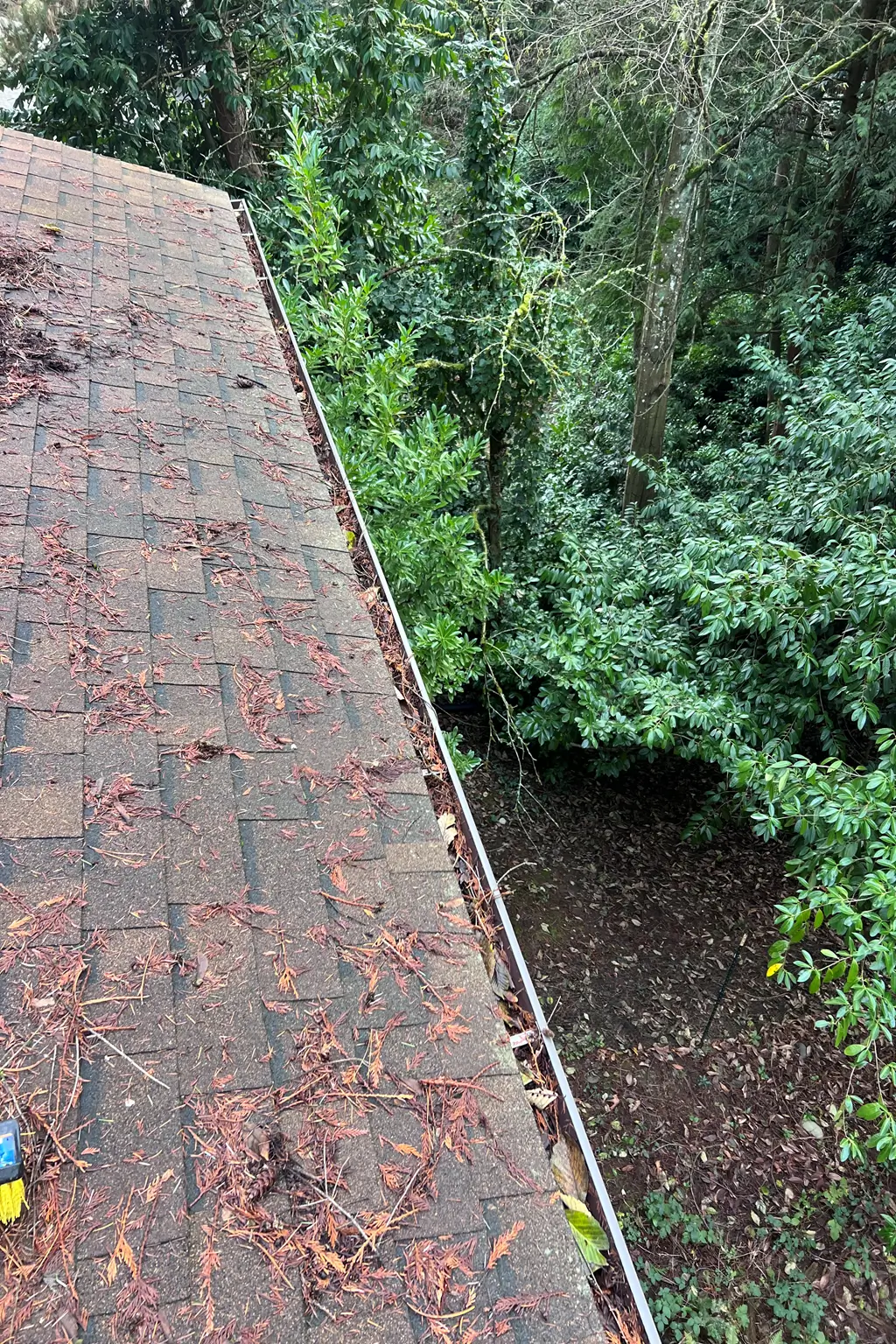 gutter cleaning before