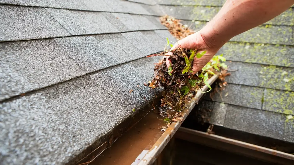 Gutter Cleaning